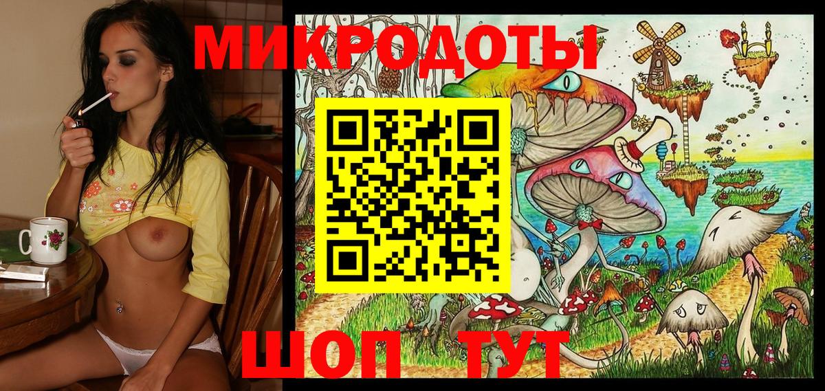 Псилоцибиновые грибы Psilocybe Орёл