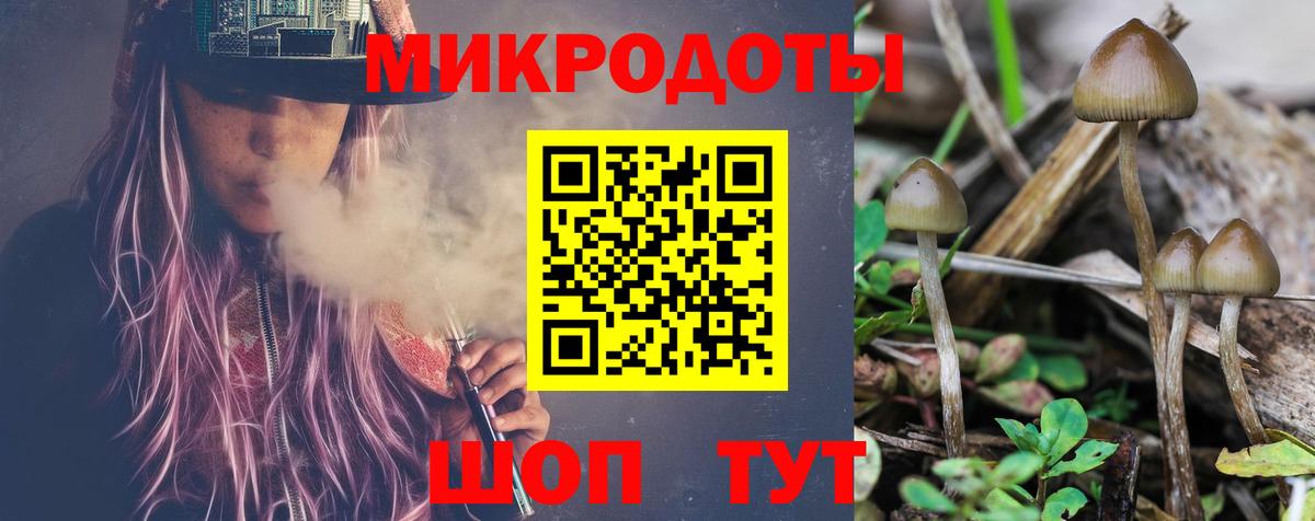 Орёл  Галлюциногенные грибы прущие грибы  Вход с VPN 