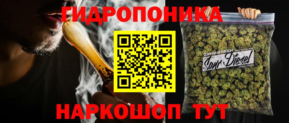 Конопля гибрид Орёл